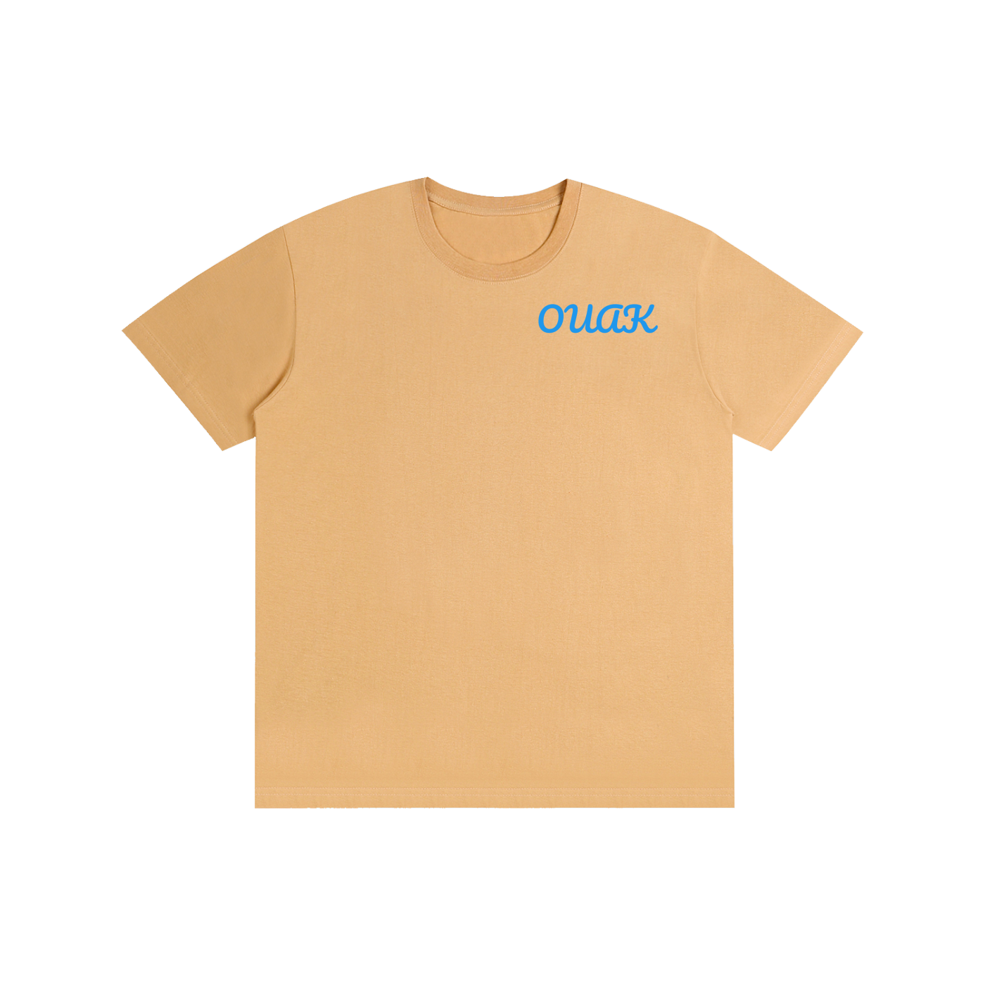 Pure Cotton Unisex T-Shirt
