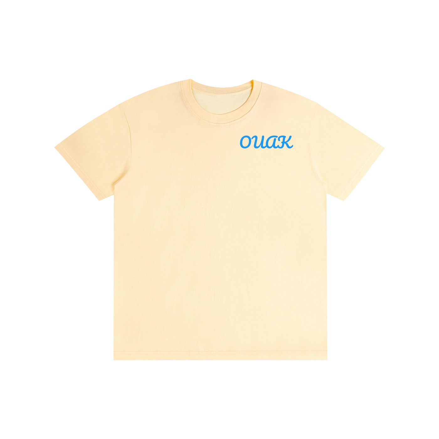 Pure Cotton Unisex T-Shirt