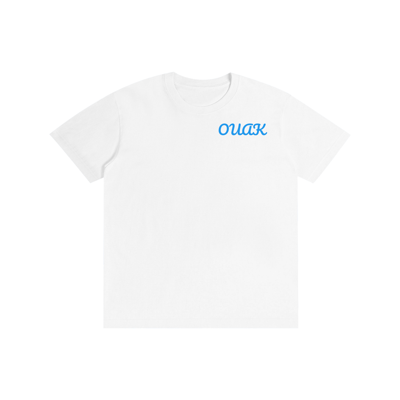 Pure Cotton Unisex T-Shirt